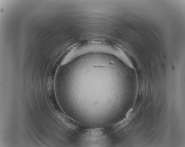 X0000087420078200704271748