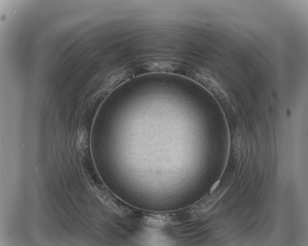 X0000087420079200704271748