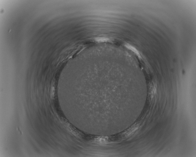 X0000087420080200704271748