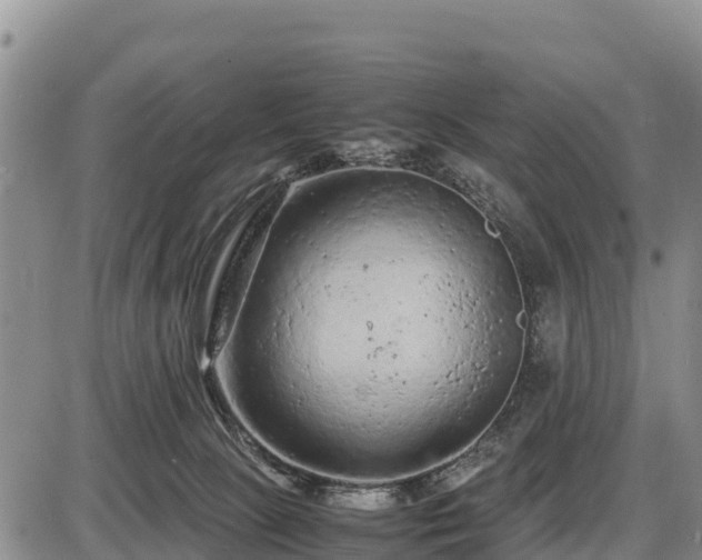 X0000087420081200704271748