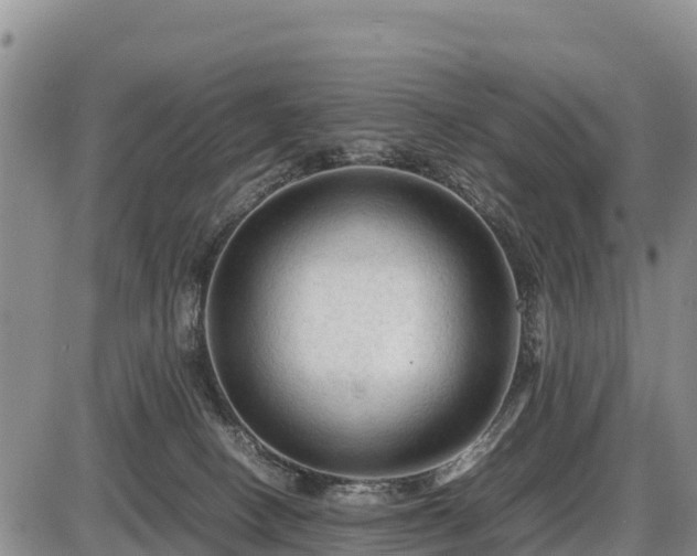 X0000087420082200704271748