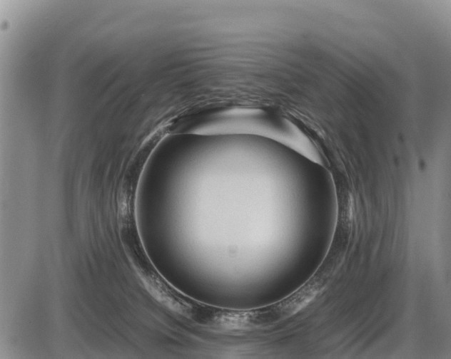 X0000087420084200704271748