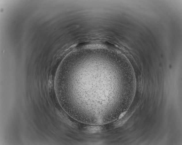 X0000087420085200704271748