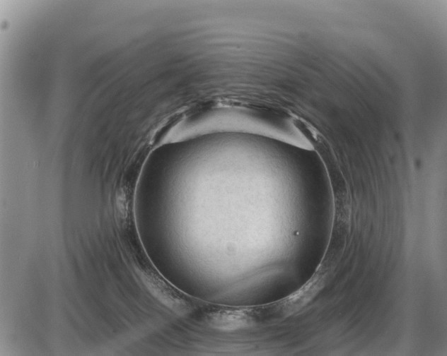 X0000087420086200704271748