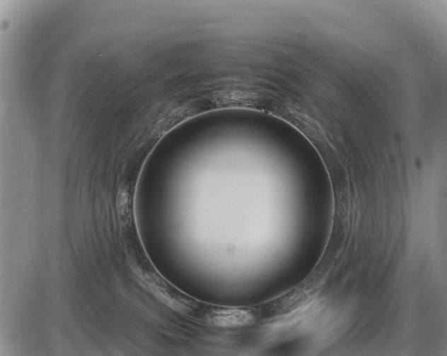 X0000087420087200704271748