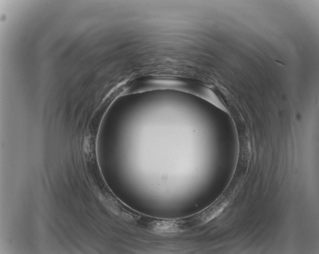 X0000087420088200704271748