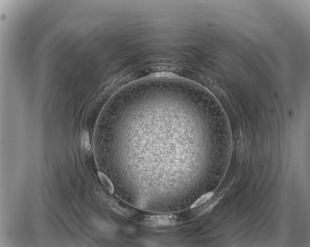 X0000087420089200704271748