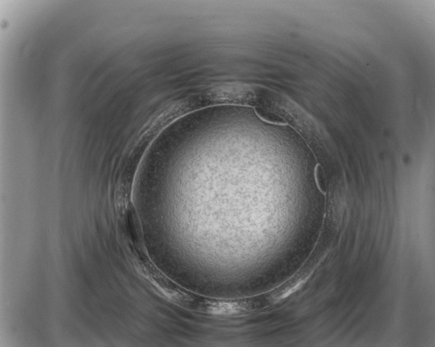 X0000087420091200704271748