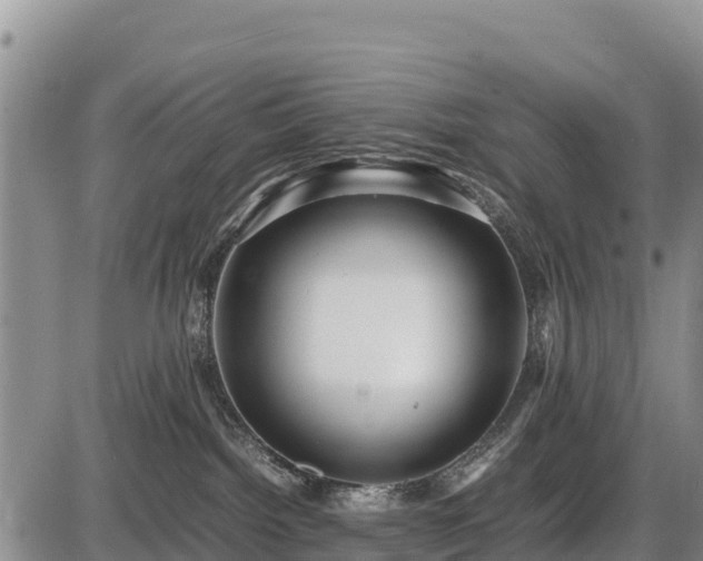 X0000087420092200704271748