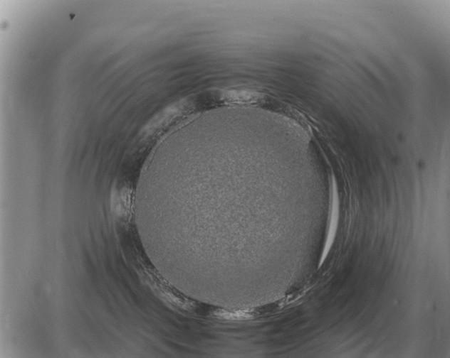 X0000087420093200704271748