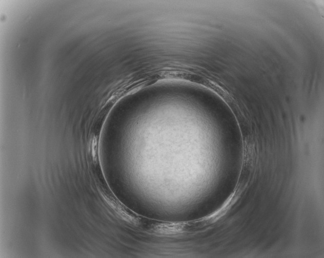 X0000087420094200704271748