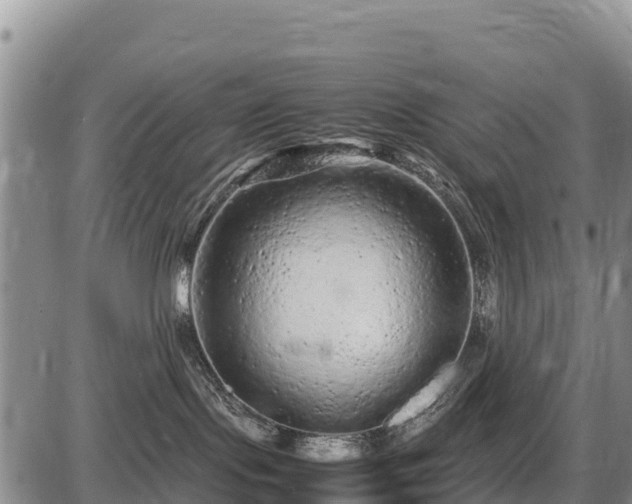 X0000087420095200704271748