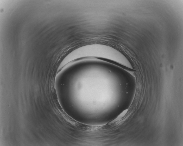 X0000087420096200704271748