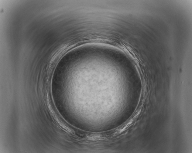 X0000087420097200704271747