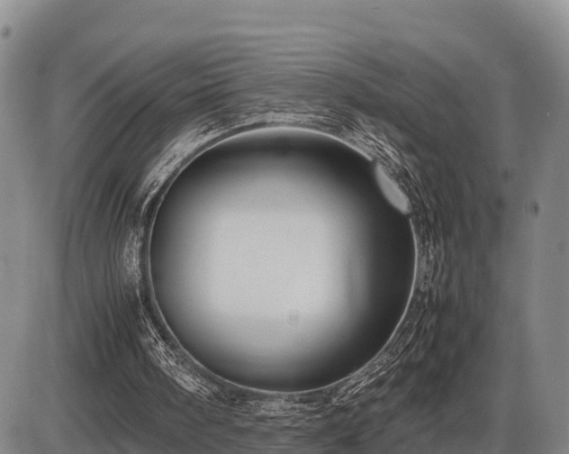 X0000087420098200704271747