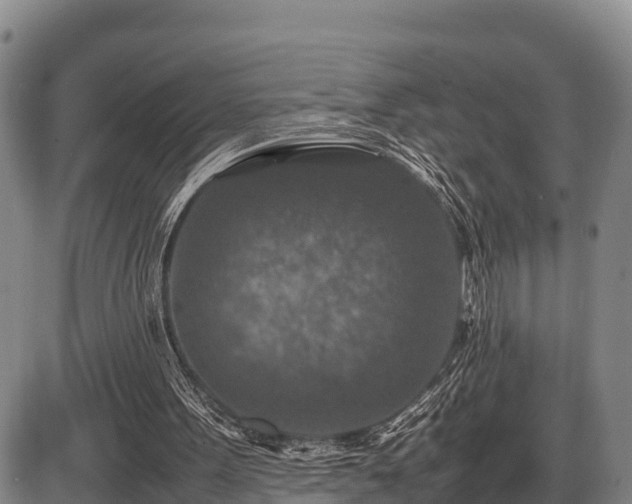 X0000087420099200704271747