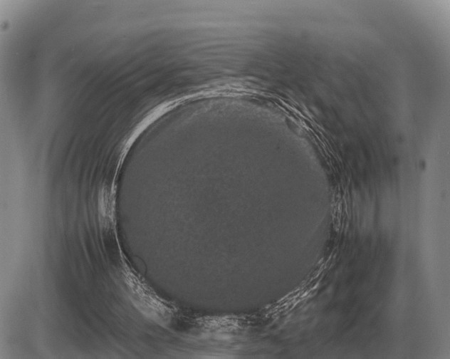 X0000087420100200704271747