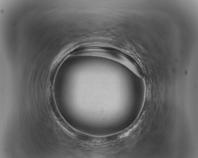 X0000087420101200704271747