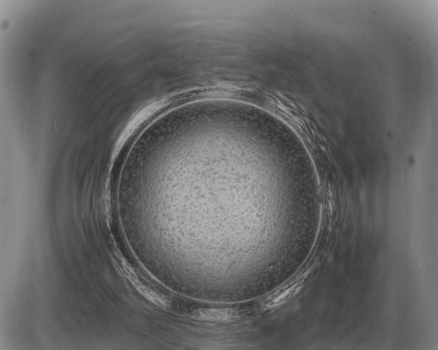 X0000087420102200704271747