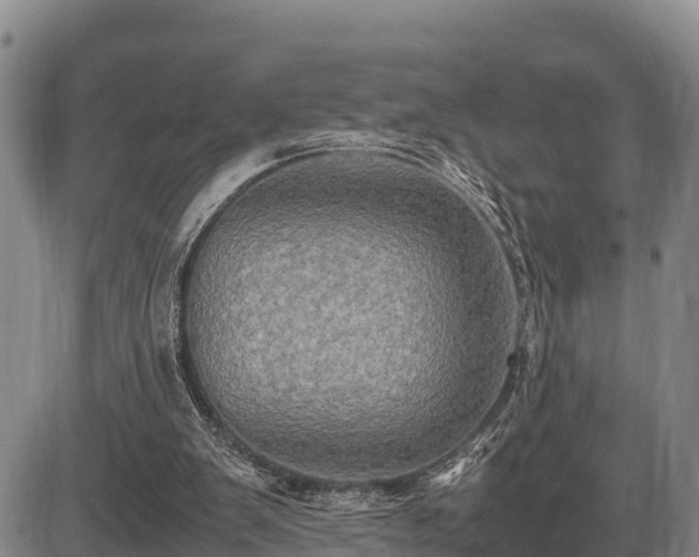 X0000087420103200704271747