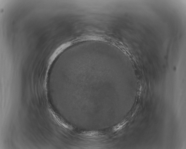 X0000087420104200704271747