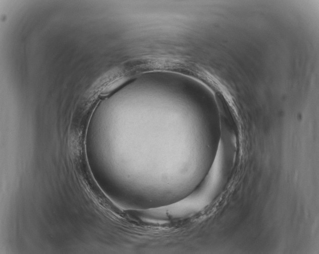 X0000087420105200704271747