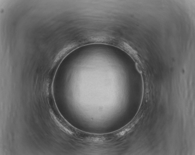 X0000087420106200704271747