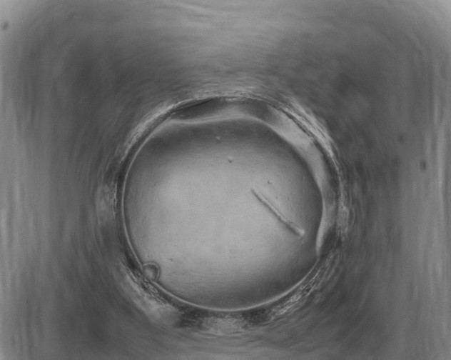 X0000087420107200704271747