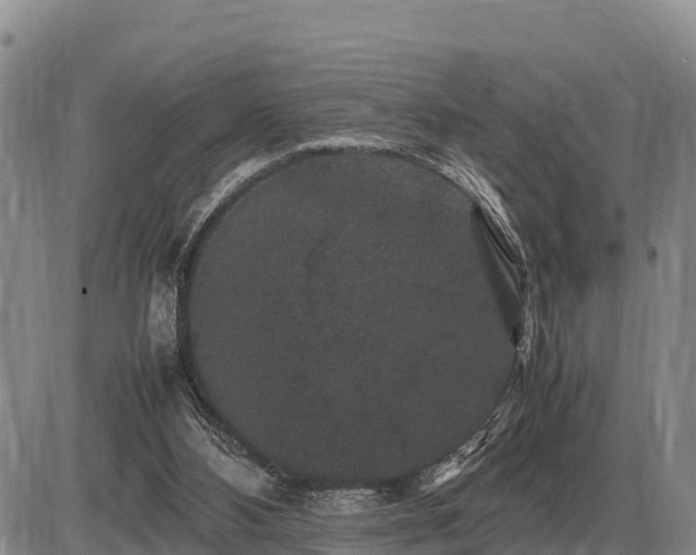 X0000087420108200704271747