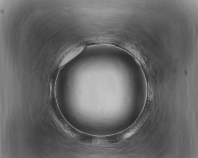 X0000087420109200704271747