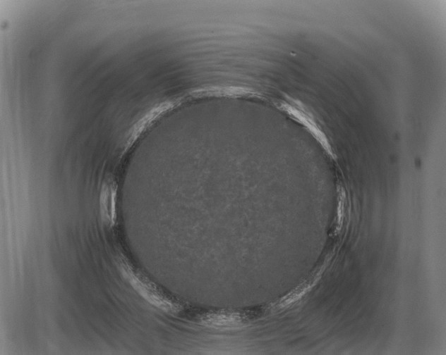 X0000087420110200704271747