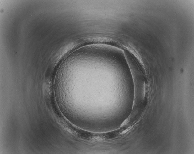 X0000087420111200704271747