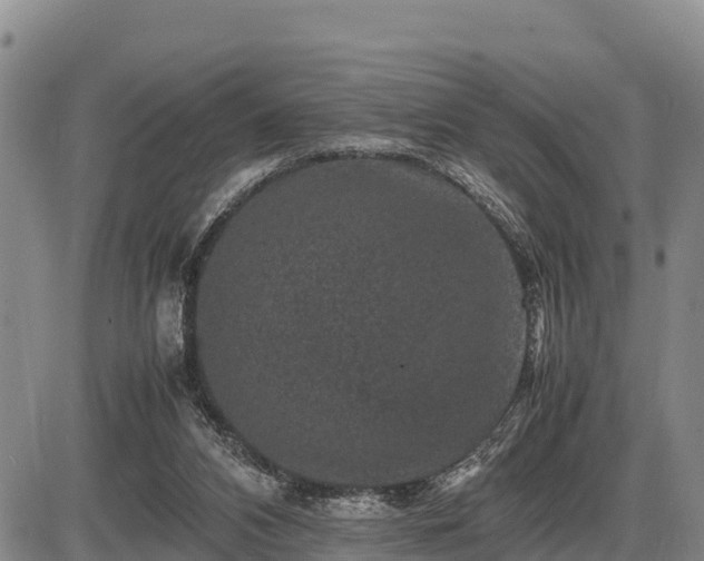 X0000087420112200704271747