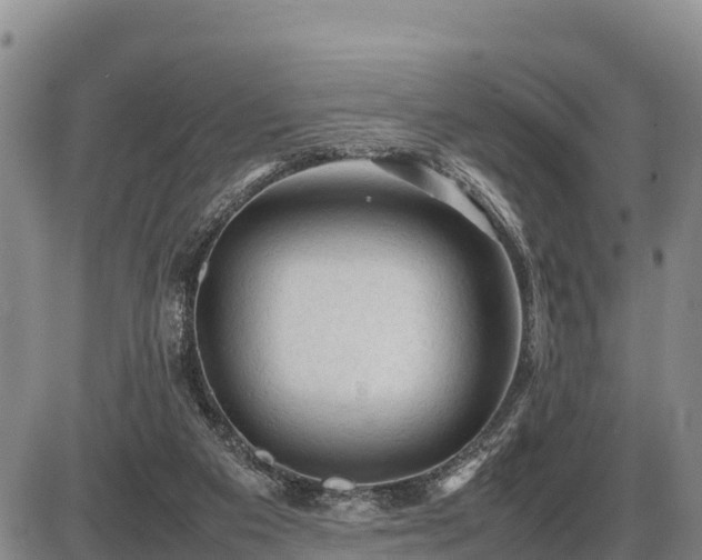 X0000087420113200704271747