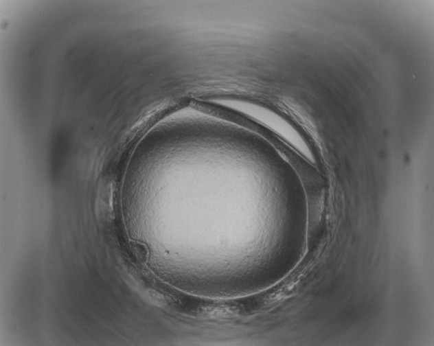 X0000087420115200704271747