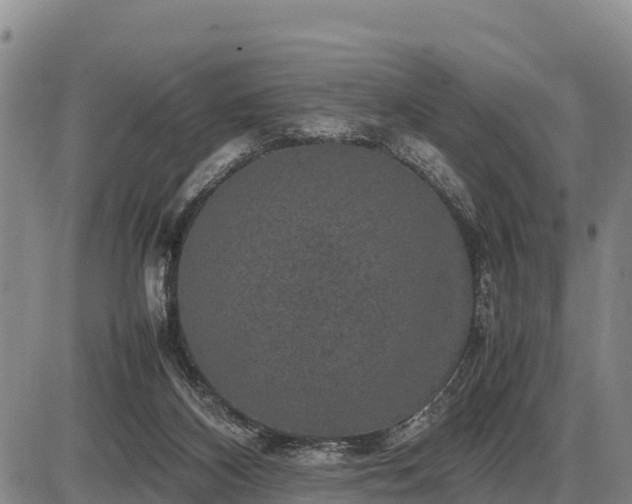 X0000087420116200704271747