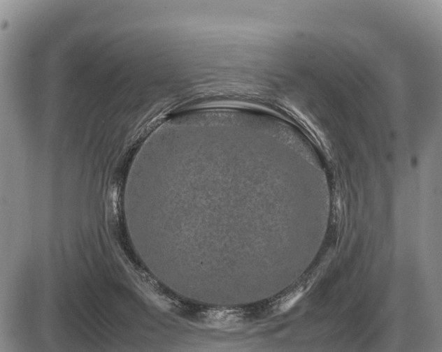 X0000087420117200704271747