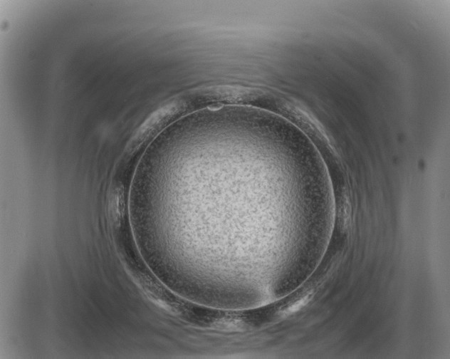 X0000087420119200704271747