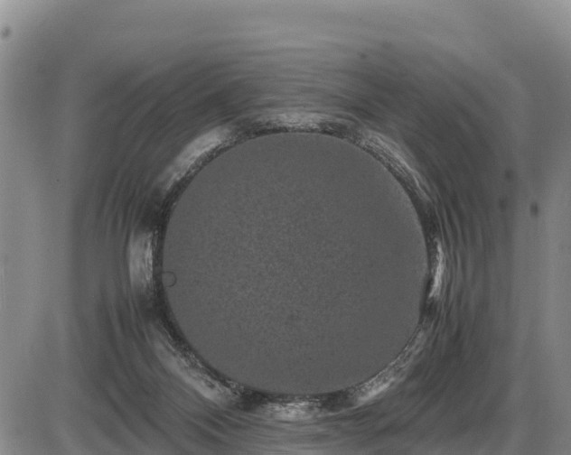 X0000087420120200704271747