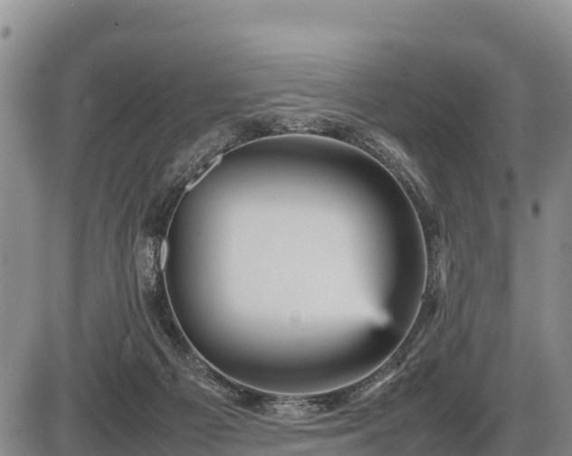 X0000087420121200704271747