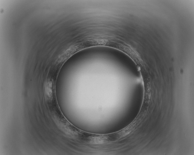 X0000087420122200704271747