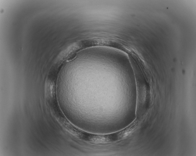 X0000087420123200704271747