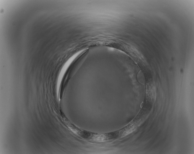 X0000087420127200704271747