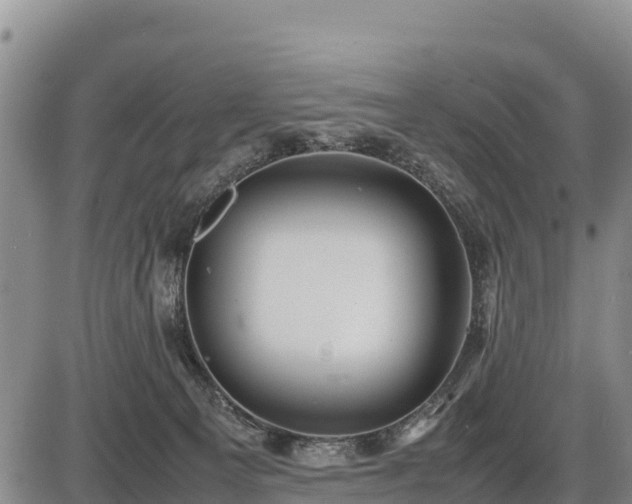 X0000087420129200704271747