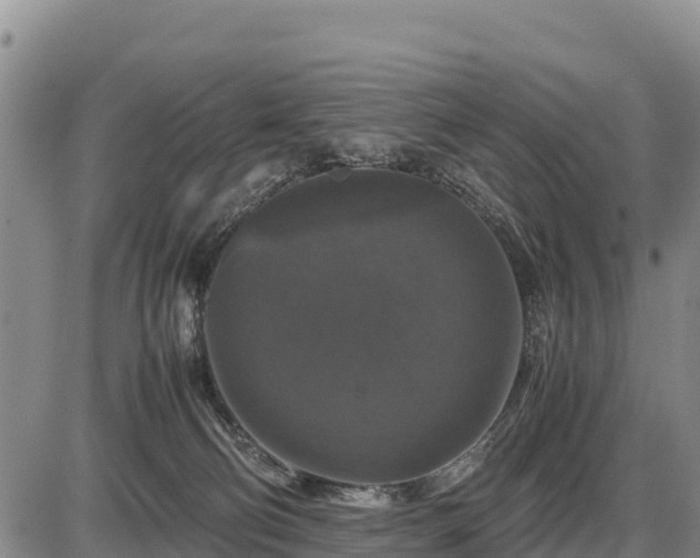 X0000087420130200704271747