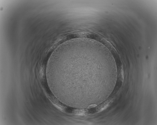 X0000087420131200704271747