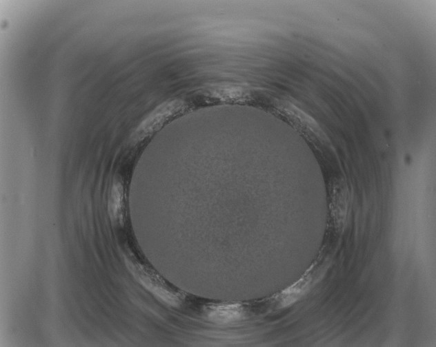 X0000087420132200704271747