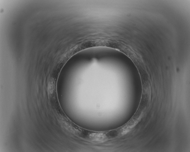 X0000087420133200704271747