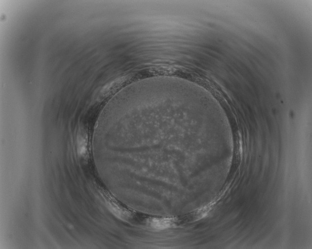 X0000087420134200704271747