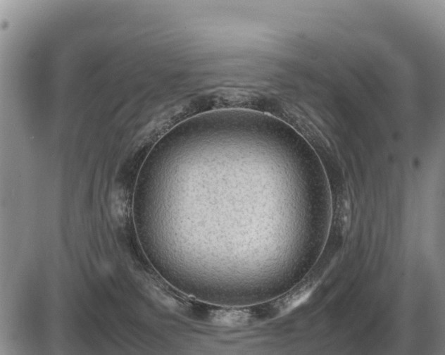 X0000087420135200704271746